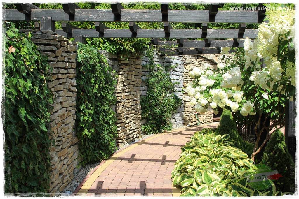 Hortensjowy raj 3 Hortensjowy raj 3