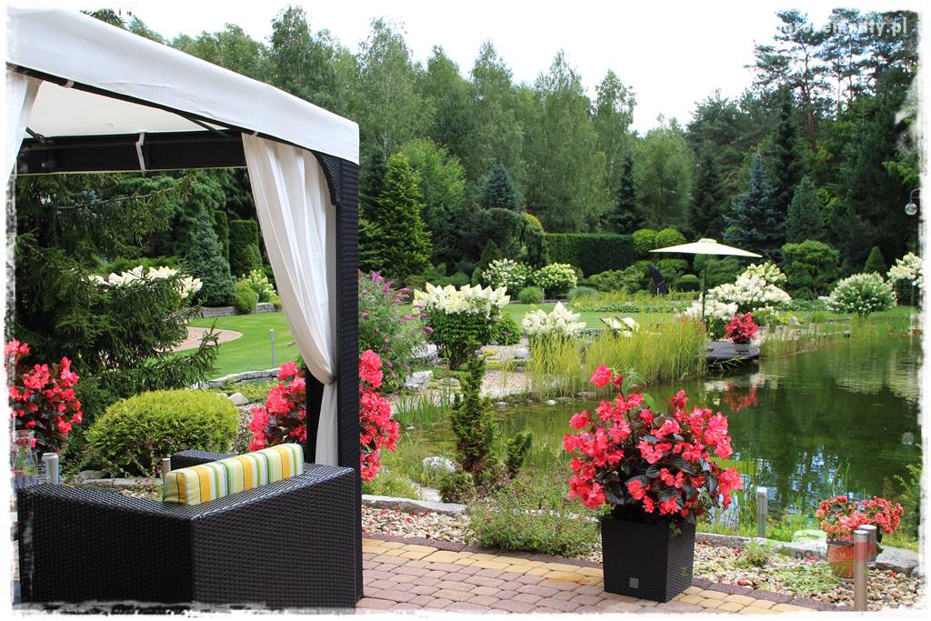 Hortensjowy raj 33 Hortensjowy raj 33