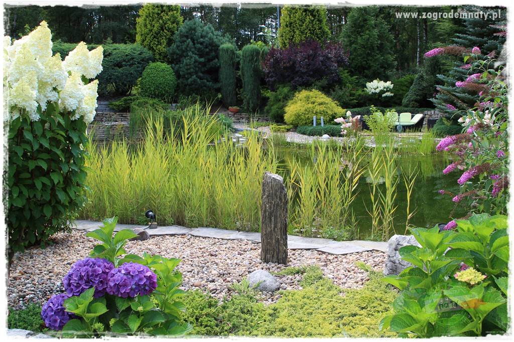 Hortensjowy raj 35 Hortensjowy raj 35