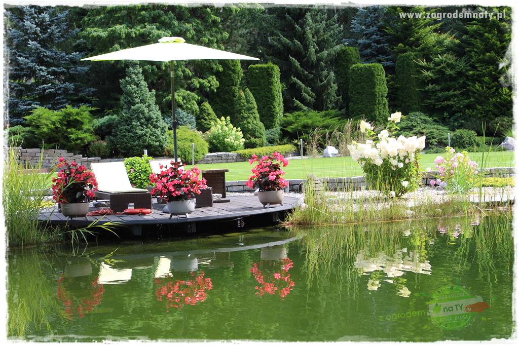 Hortensjowy raj 37 Hortensjowy raj 37