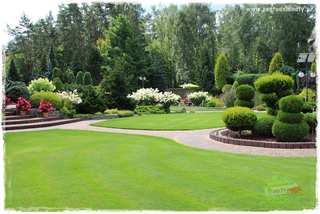 Hortensjowy raj 401 Hortensjowy raj 401