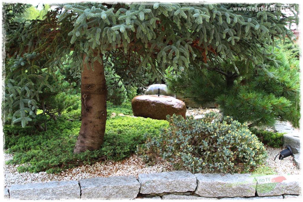 Hortensjowy raj 404 Hortensjowy raj 404