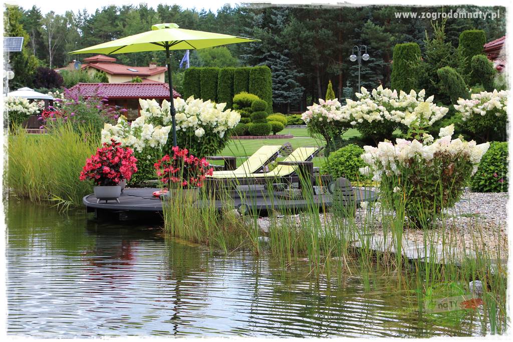 Hortensjowy raj 405 Hortensjowy raj 405