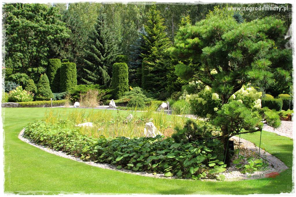 Hortensjowy raj 406 Hortensjowy raj 406