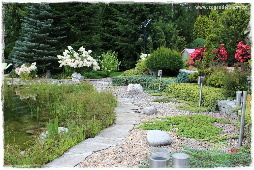 Hortensjowy raj 409 Hortensjowy raj 409