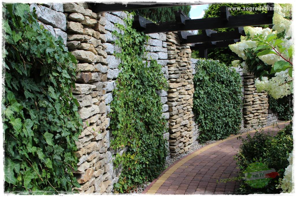 Hortensjowy raj 41 Hortensjowy raj 41