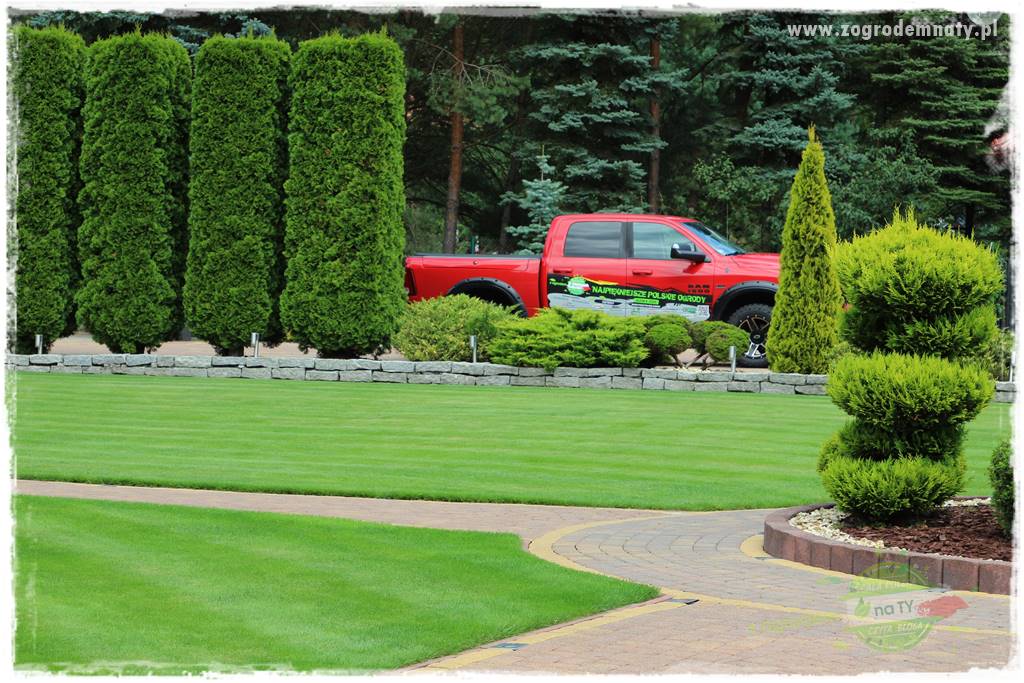 Hortensjowy raj 410 Hortensjowy raj 410