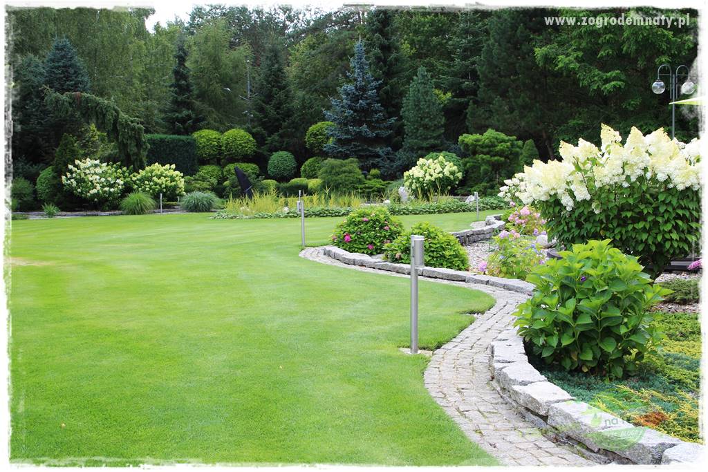 Hortensjowy raj 411 Hortensjowy raj 411