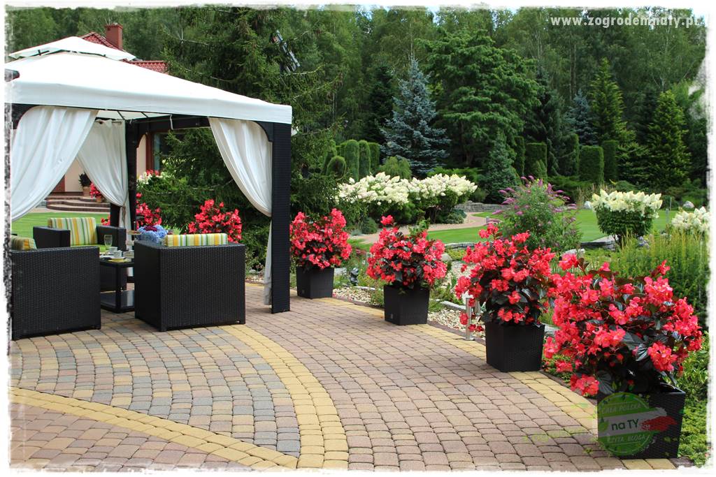 Hortensjowy raj 414 Hortensjowy raj 414