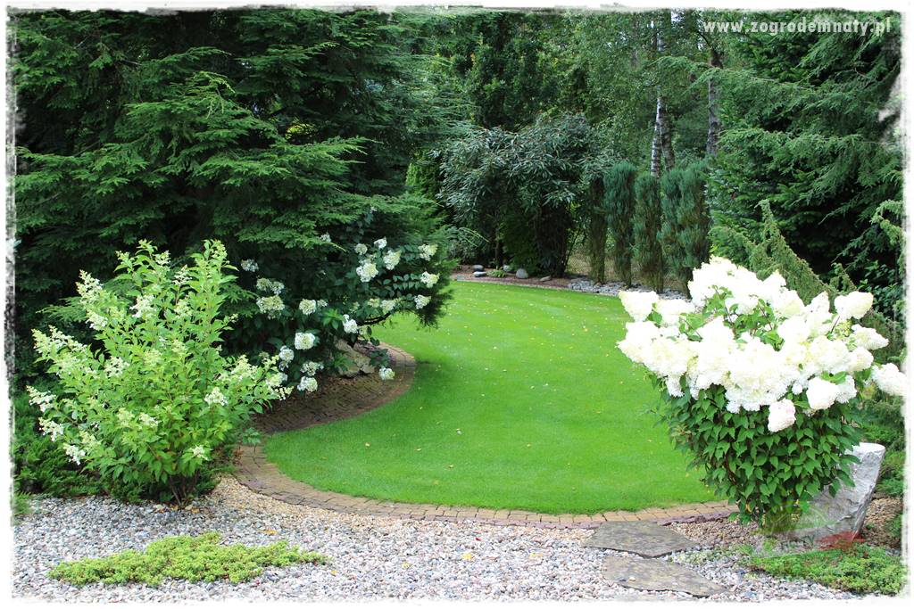 Hortensjowy raj 417 Hortensjowy raj 417