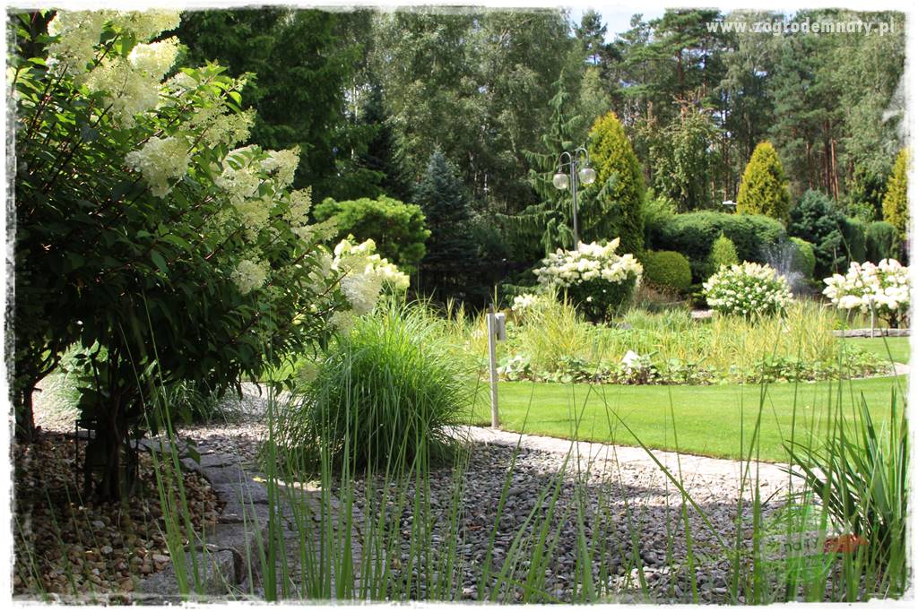 Hortensjowy raj 418 Hortensjowy raj 418