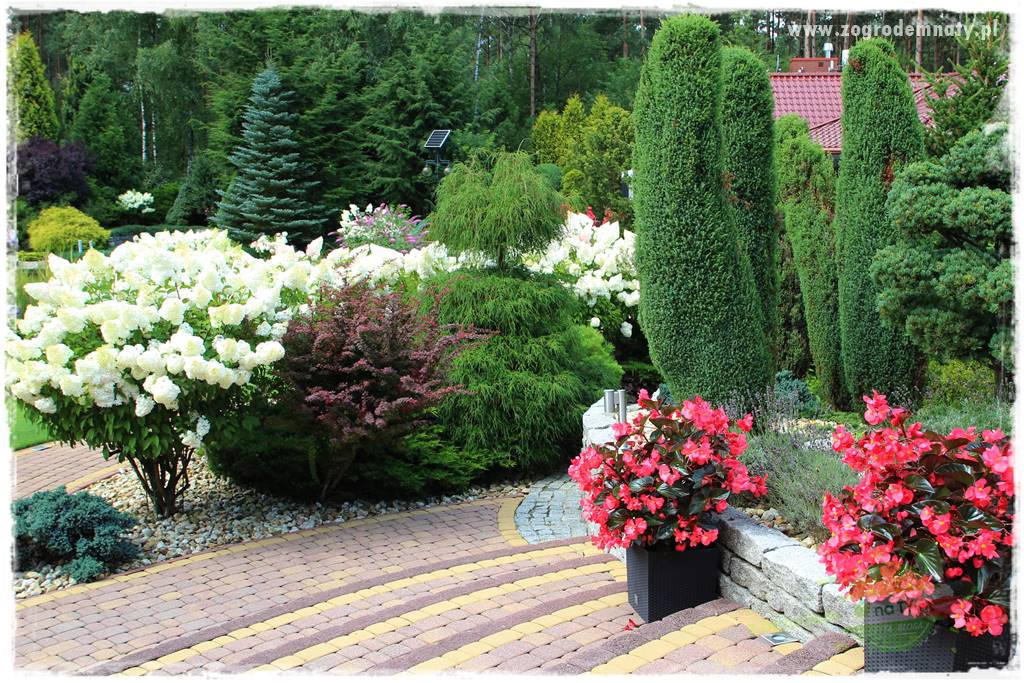 Hortensjowy raj 422 Hortensjowy raj 422