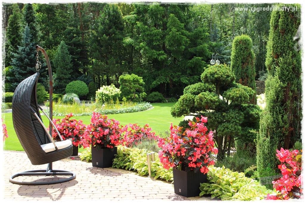 Hortensjowy raj 425 Hortensjowy raj 425