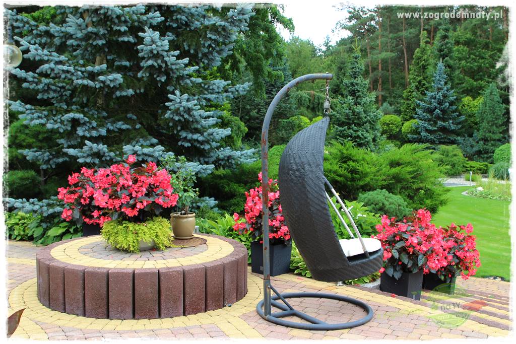 Hortensjowy raj 430 Hortensjowy raj 430