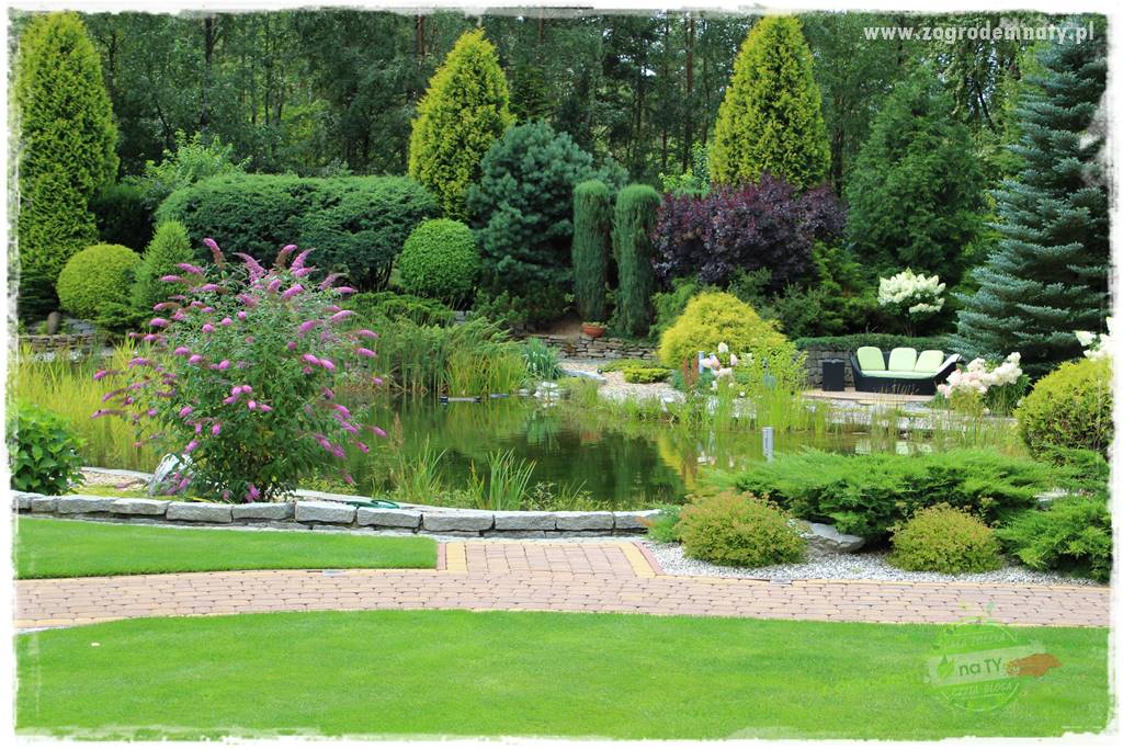 Hortensjowy raj 49 Hortensjowy raj 49