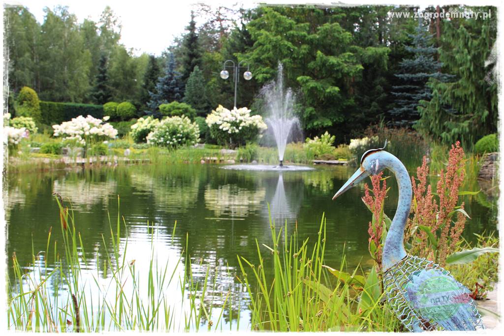 Hortensjowy raj 6 Hortensjowy raj 6