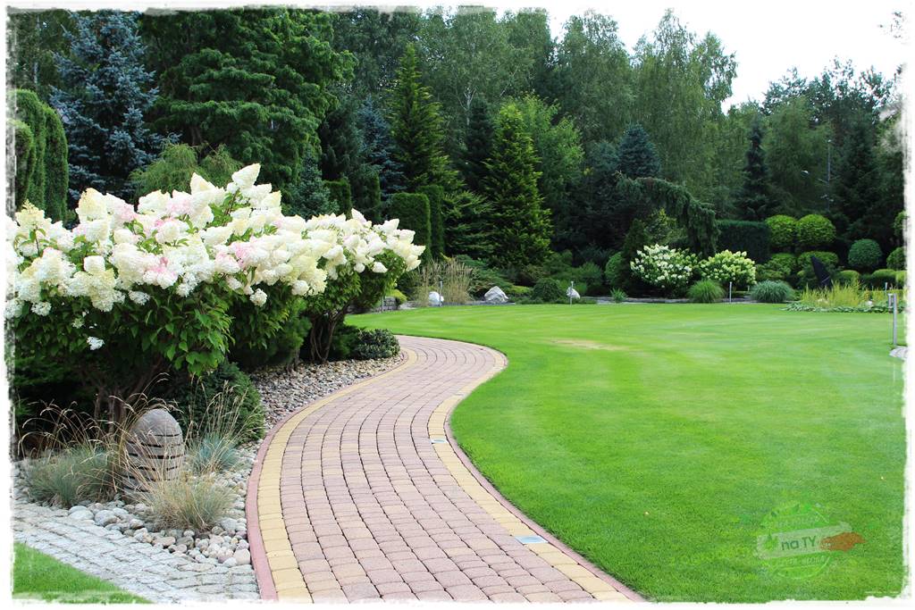 Hortensjowy raj 8 Hortensjowy raj 8