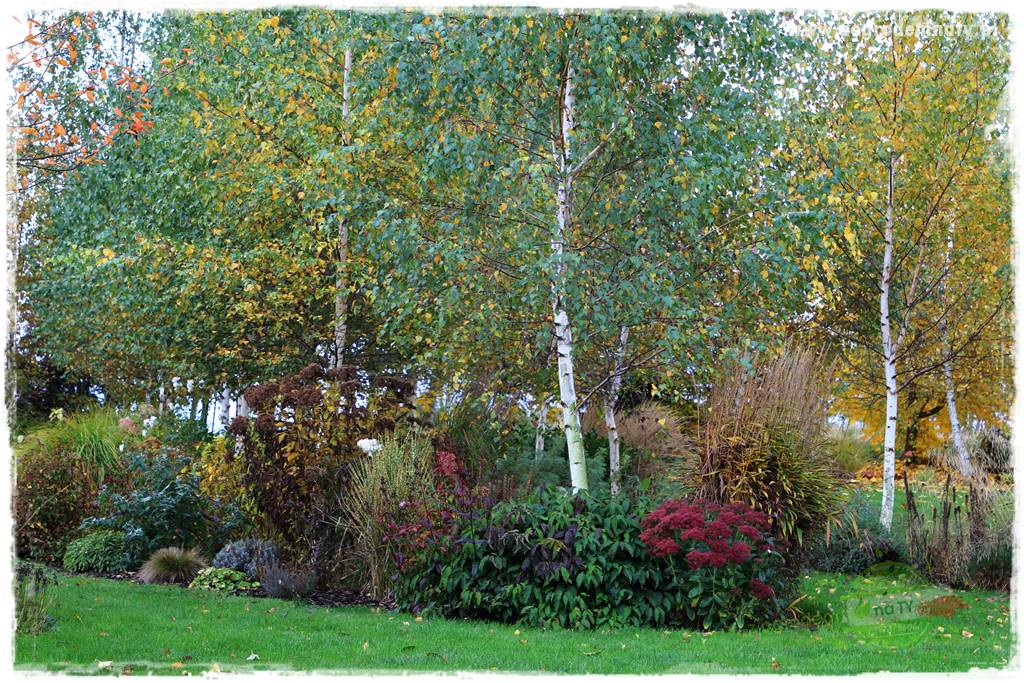 Jesienne prace w ogrodzie 1