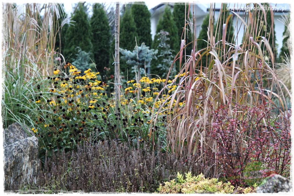 Jesienne prace w ogrodzie 11