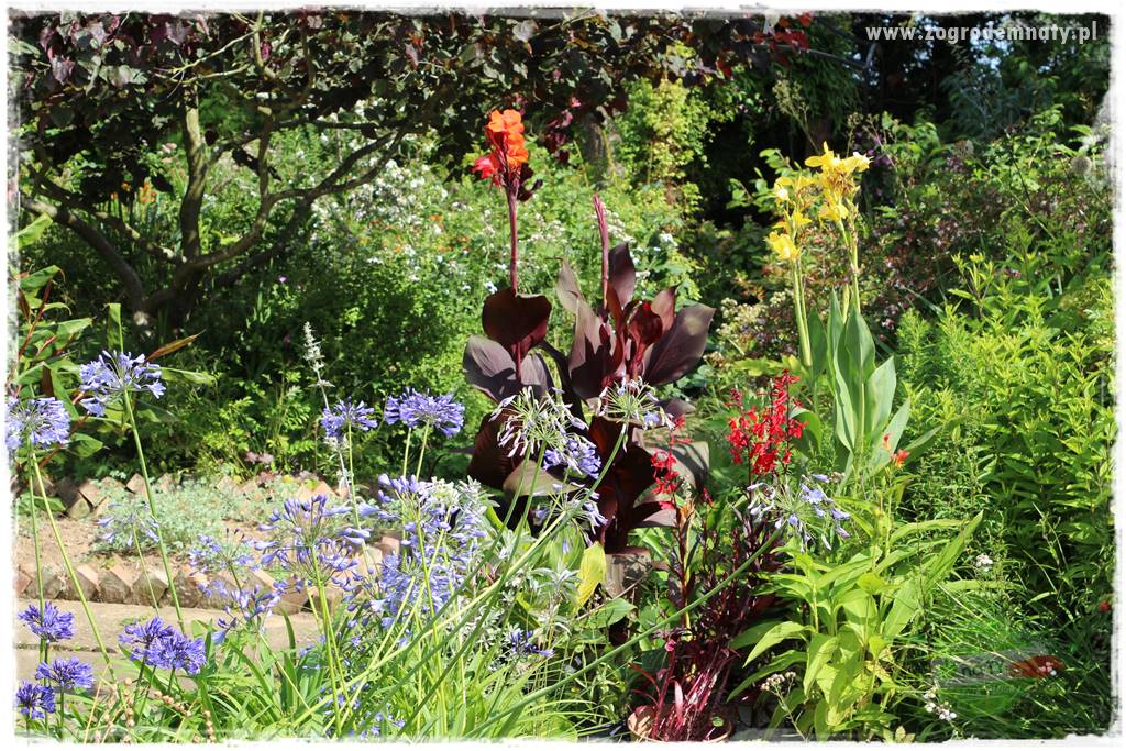 Jesienne prace w ogrodzie 12