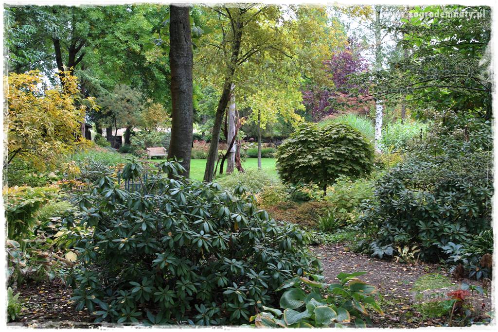 Jesienne prace w ogrodzie 14