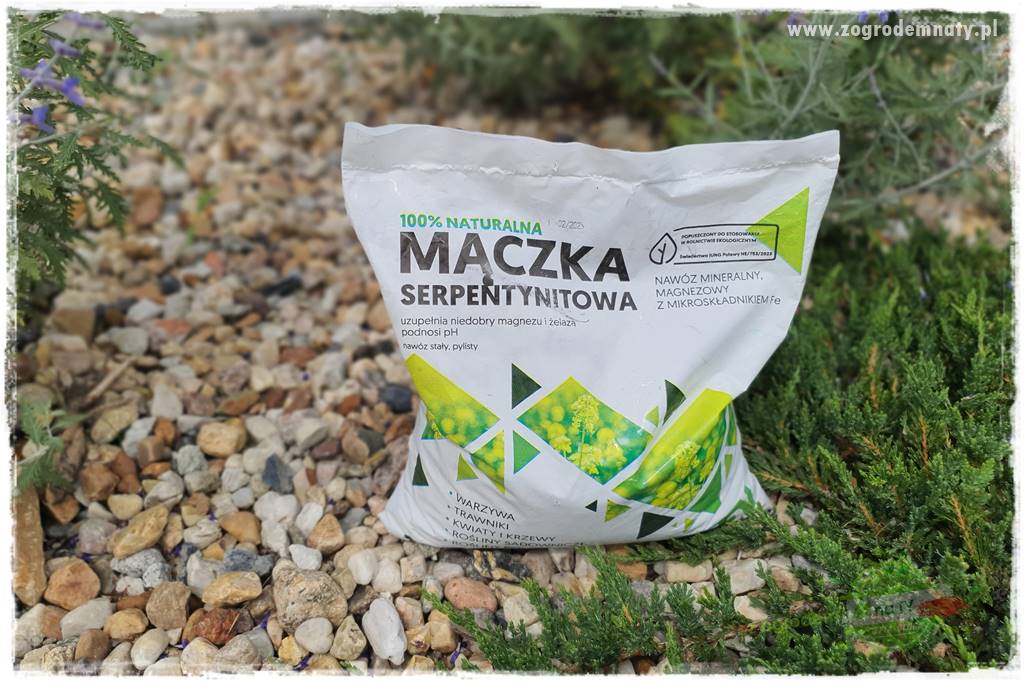 Jesienne prace w ogrodzie 15