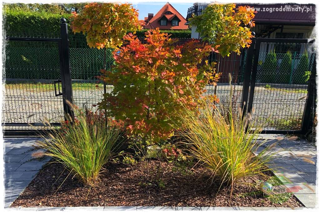 Jesienne prace w ogrodzie 16