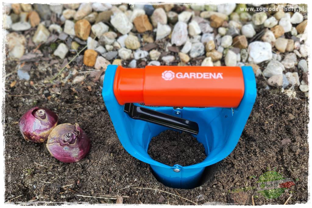 Jesienne prace w ogrodzie 17