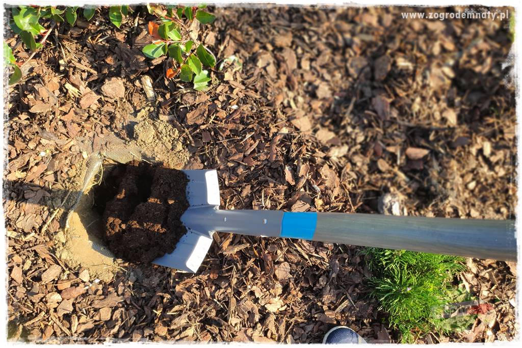 Jesienne prace w ogrodzie 19