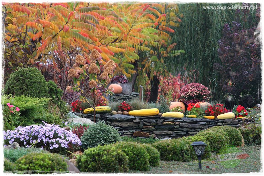 Jesienne prace w ogrodzie 2