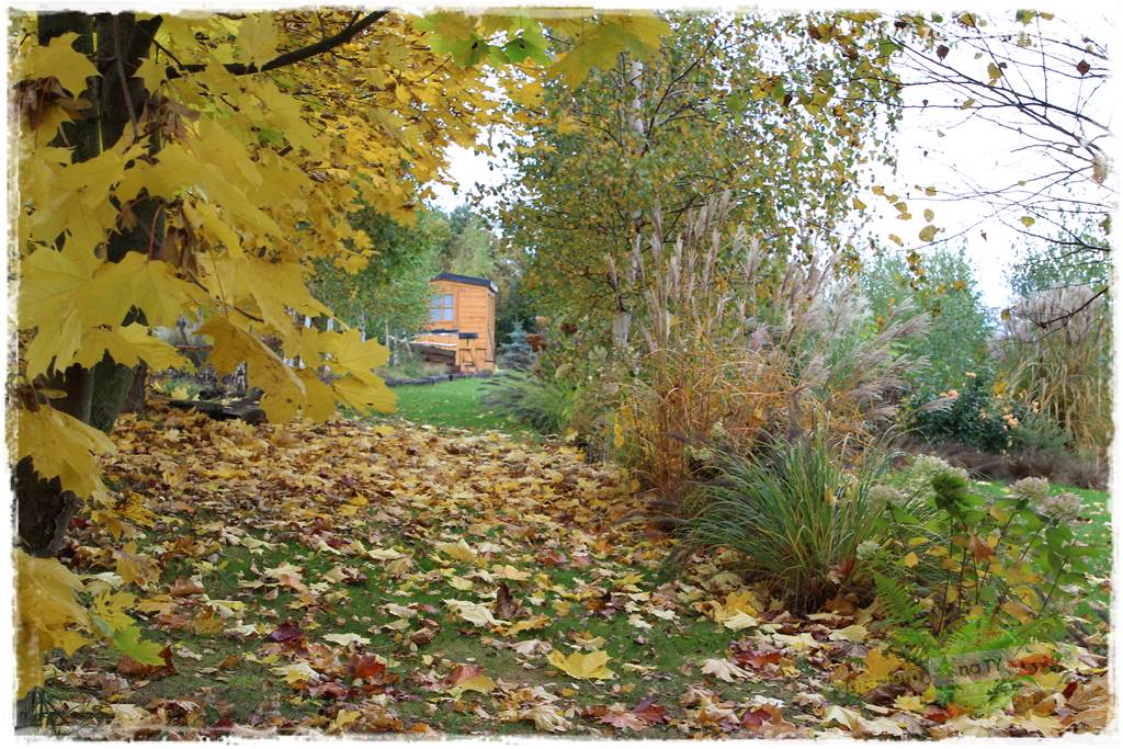 Jesienne prace w ogrodzie 21
