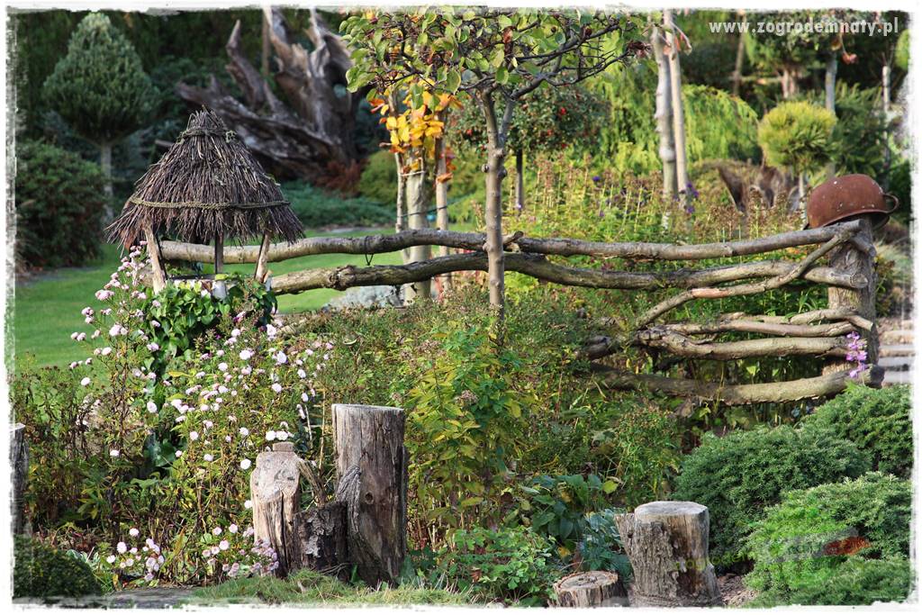 Jesienne prace w ogrodzie 26