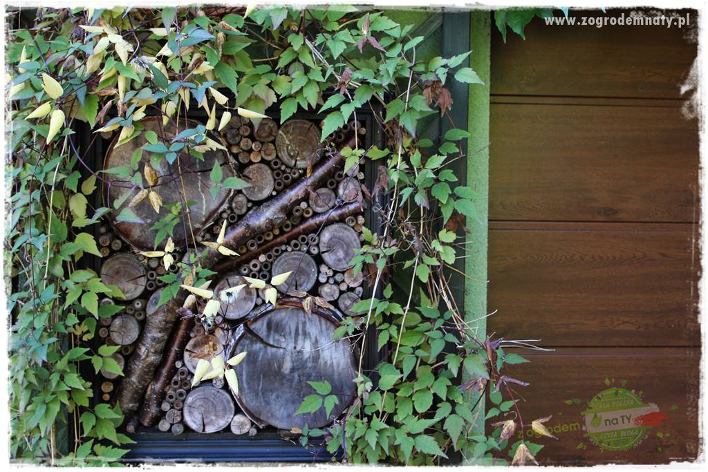 Jesienne prace w ogrodzie 27