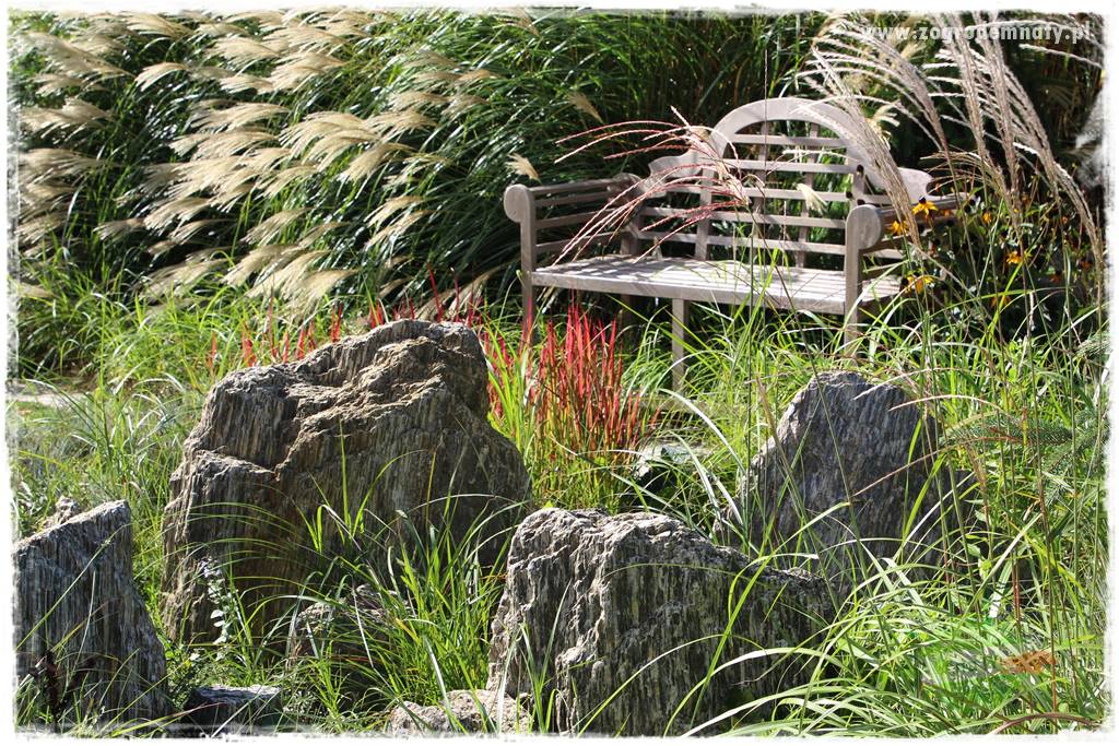 Jesienne prace w ogrodzie 3