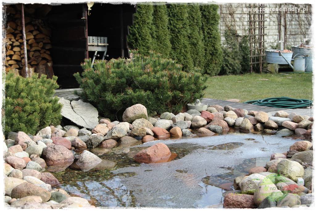 Jesienne prace w ogrodzie 31