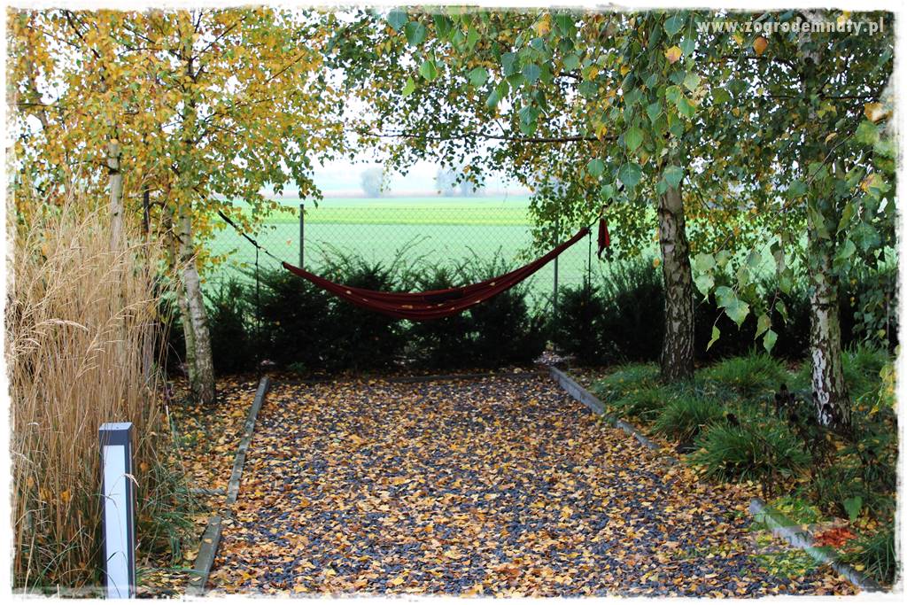 Jesienne prace w ogrodzie 32