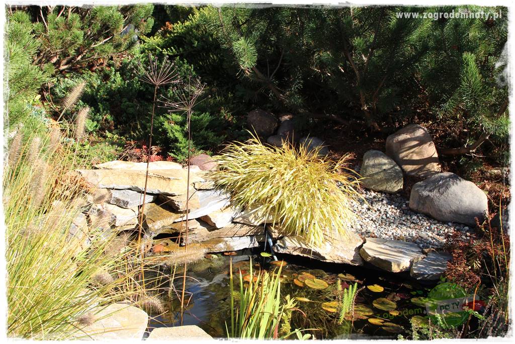 Jesienne prace w ogrodzie 9