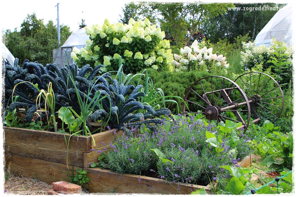 Lampy betonowe do ogrodu 4