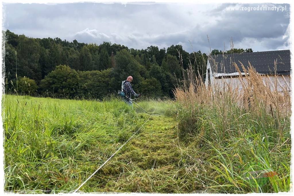 budowa ogrodzenia 21 budowa ogrodzenia 21