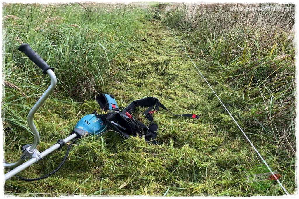 budowa ogrodzenia 23 budowa ogrodzenia 23