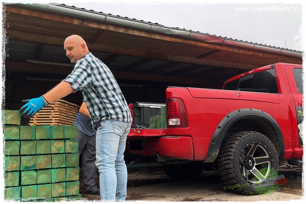 budowa ogrodzenia 24 budowa ogrodzenia 24