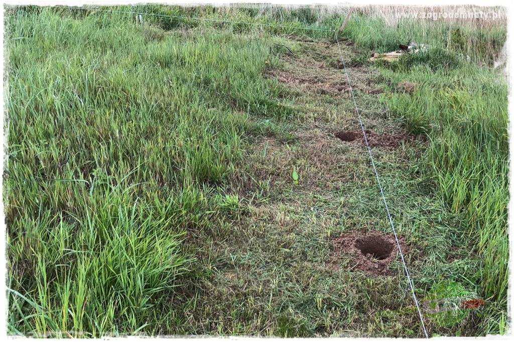 budowa ogrodzenia 35 budowa ogrodzenia 35