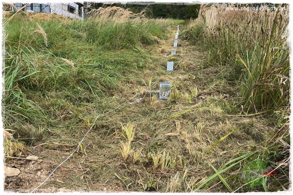 budowa ogrodzenia 47 budowa ogrodzenia 47