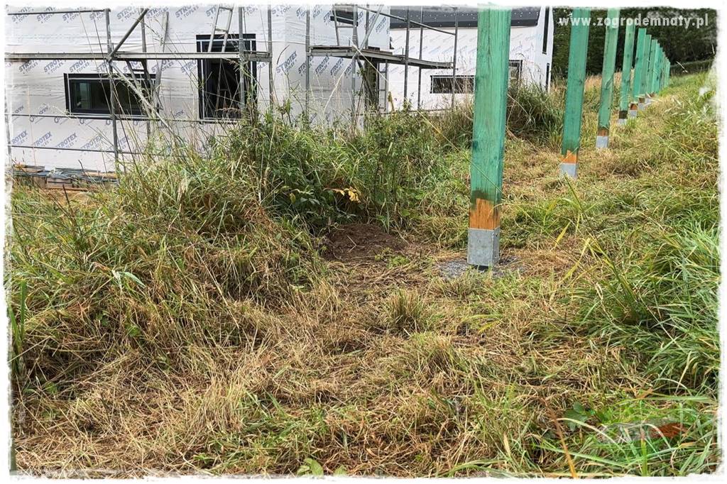 budowa ogrodzenia 55 budowa ogrodzenia 55