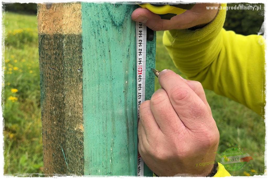 budowa ogrodzenia 58 budowa ogrodzenia 58