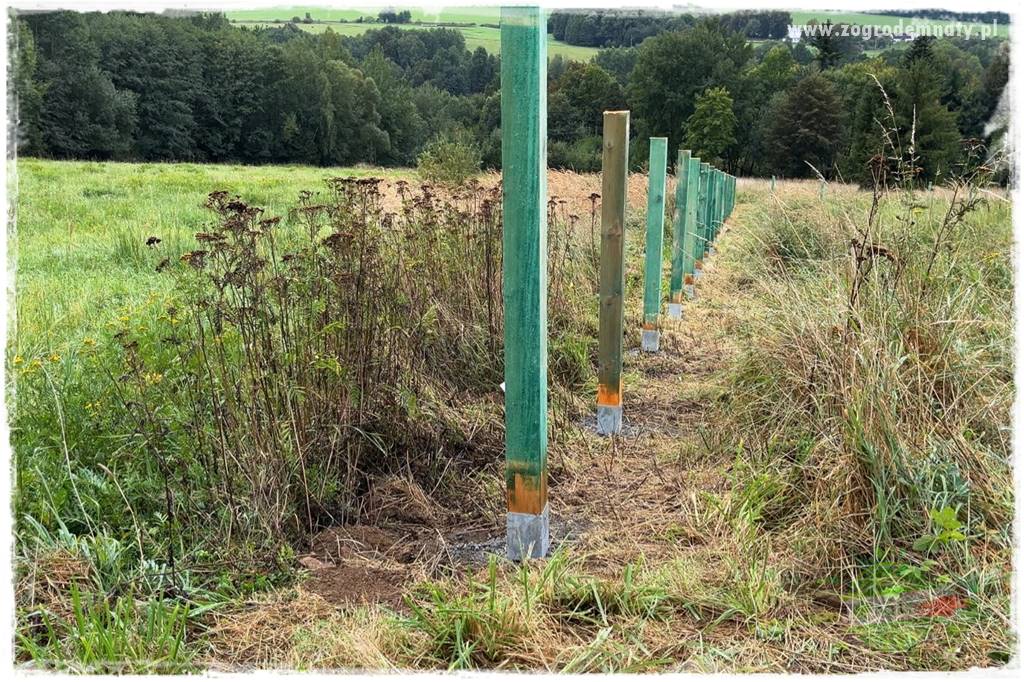 budowa ogrodzenia 68 budowa ogrodzenia 68