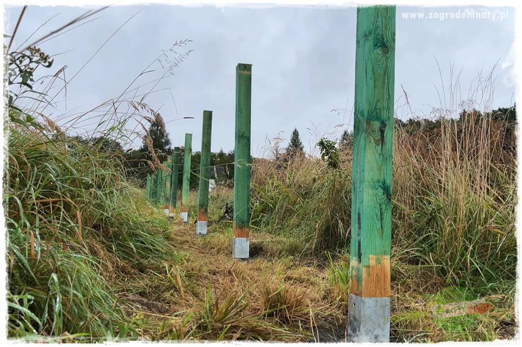 budowa ogrodzenia 69 budowa ogrodzenia 69