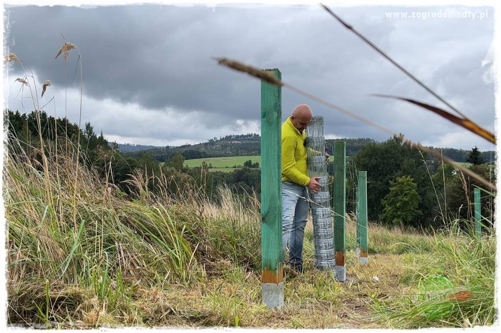 budowa ogrodzenia 73 budowa ogrodzenia 73