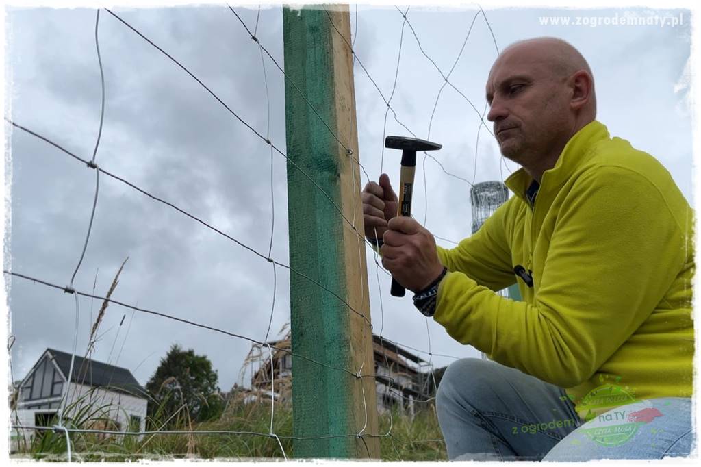 budowa ogrodzenia 74 budowa ogrodzenia 74
