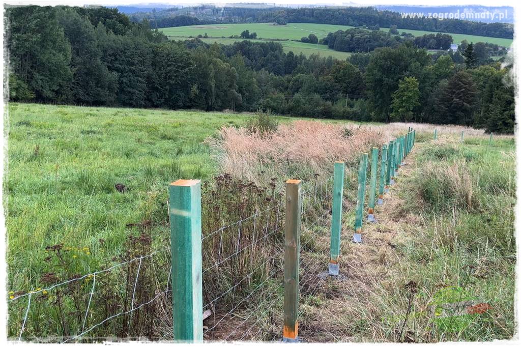 budowa ogrodzenia 75 budowa ogrodzenia 75